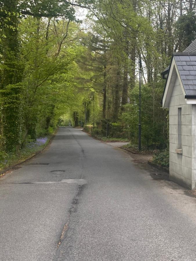 3 The Courtyard Castle Dargan Apartment Ballygawley ภายนอก รูปภาพ